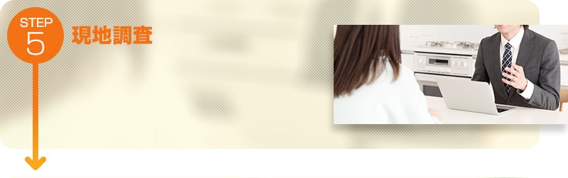 現地調査
