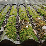 外壁よりも大きな被害が出やすい！？屋根塗装の押さえておきたい基礎知識